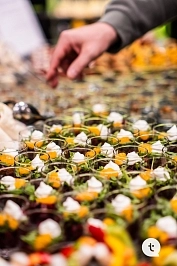 Tesena Fest 2025 - Gallery